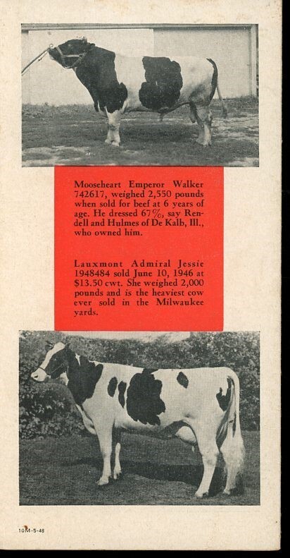 Holstein- Friesian Association of America Born 30 Years to Soon Brochure