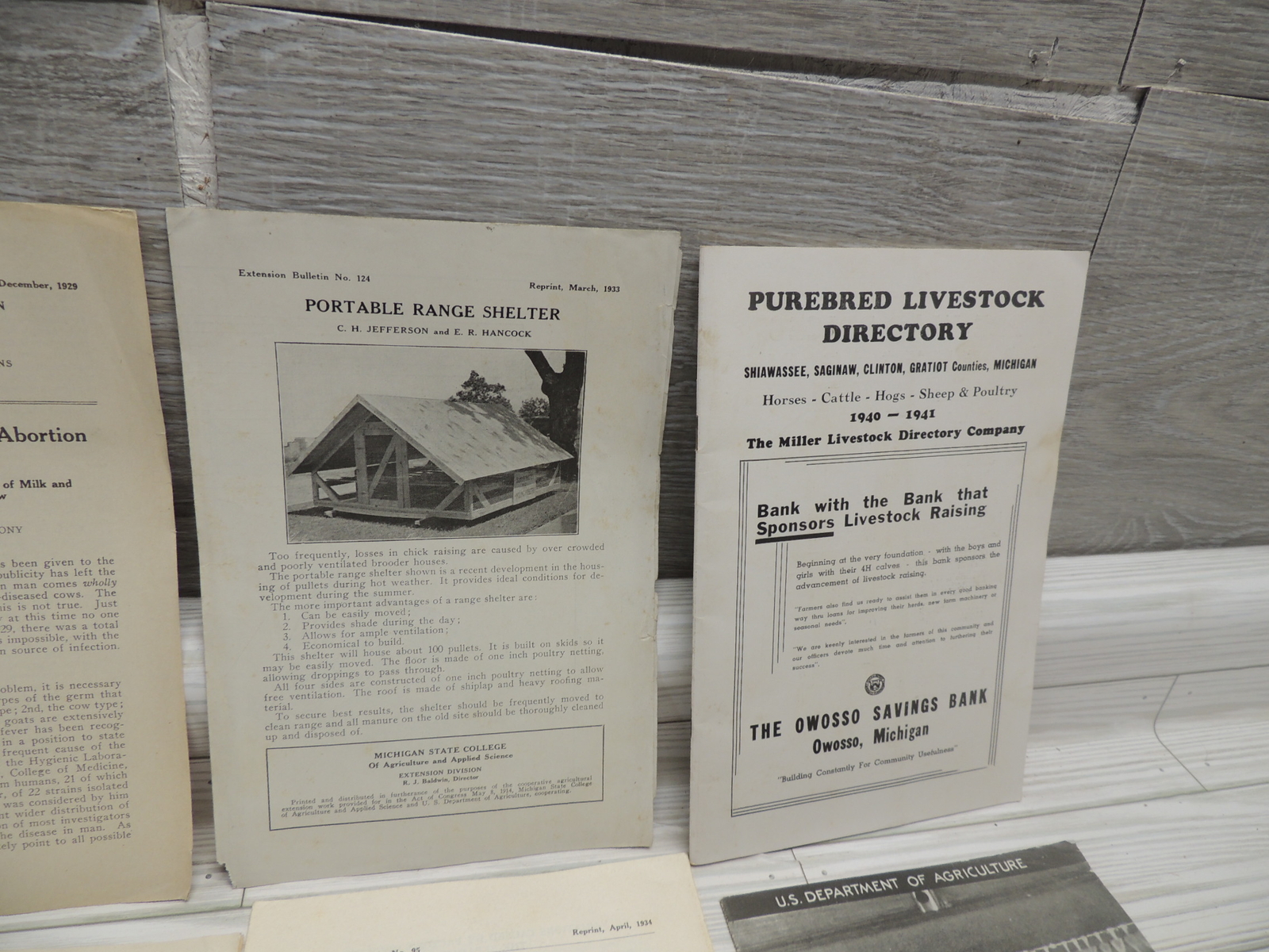 Lg Lot of Michigan State & USDA Bulletins 1920s-1930&rsquo;s Plus Happy Chick Brochure