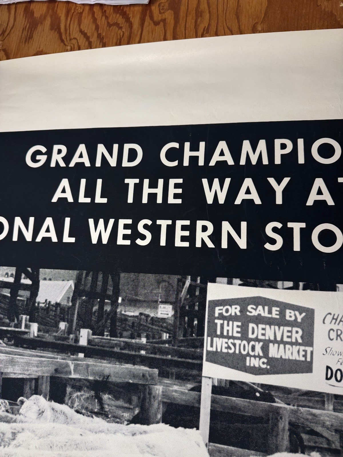 Vintage 1970 National Western Stock Show ABS American Breeders Service Ad Poster