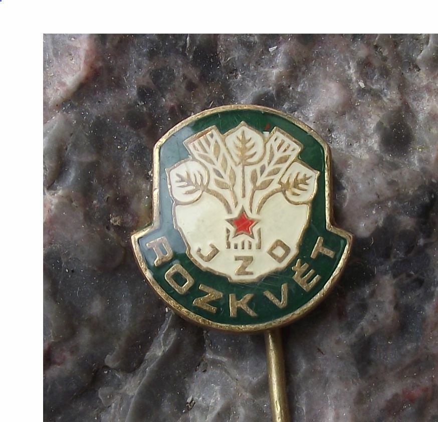 Antique JZD Rozkvet Czech Agricultural Collective Farming Union Farm Pin Badge