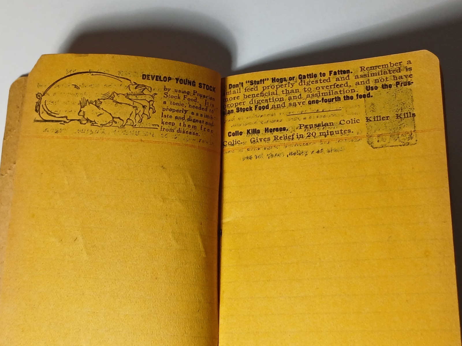 1906 Vintage Farm Ledger Prussian Food Advertising Cow Pig Sheep Horse Graphic