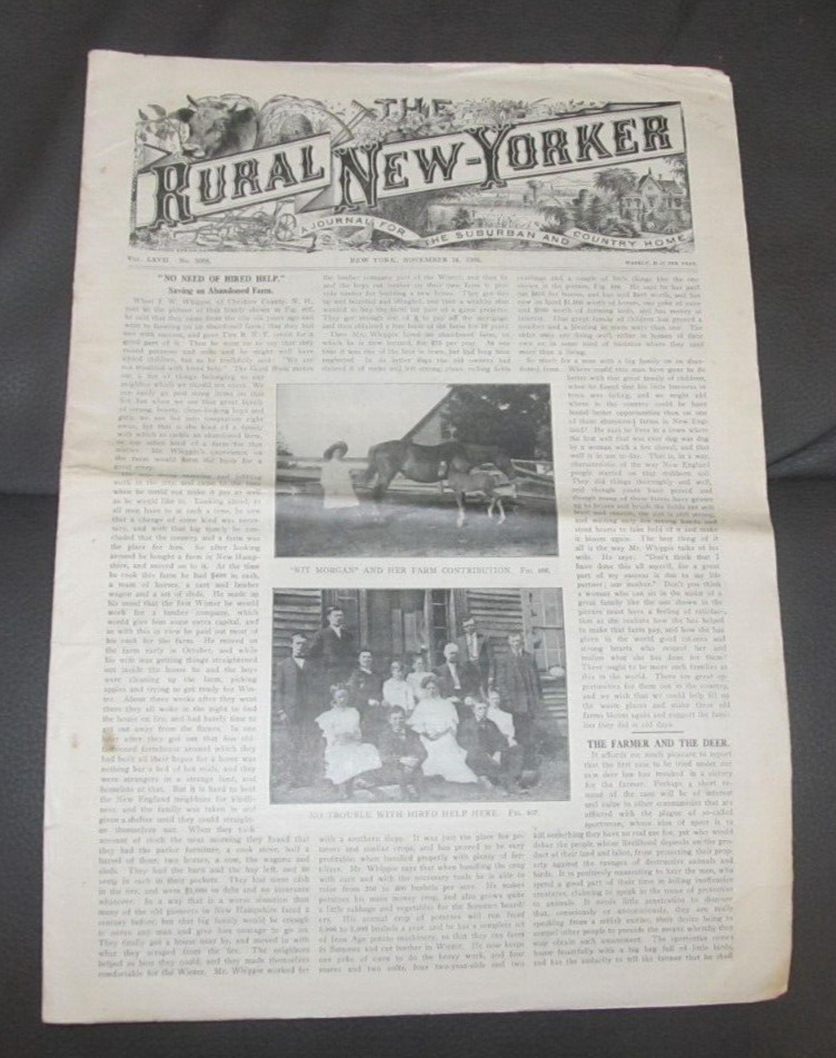 1908 Nov 14 THE RURAL NEW-YORKER NEWSPAPER Agriculture Magazine Farm Farming