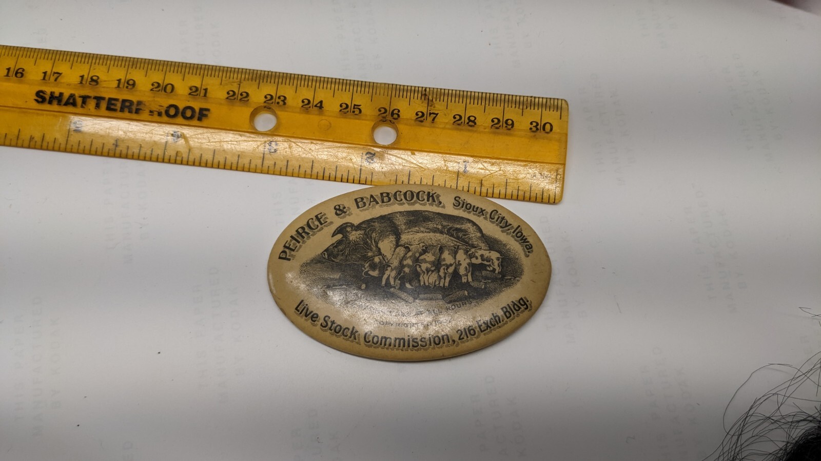 1902 Live Stock Celluloid Advertising Pocket Mirror Sioux City Omaha Chicago
