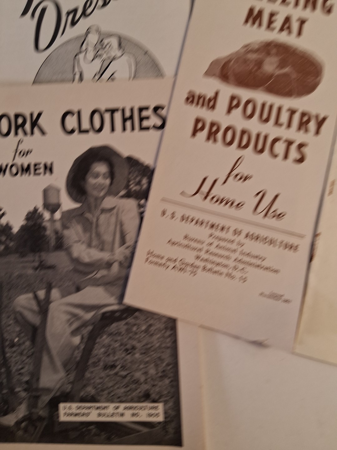 U.S. DEPARTMENT OF AGRICULTURE PAMPHLETS Read Look Plumbing Shrub Freezing Meat