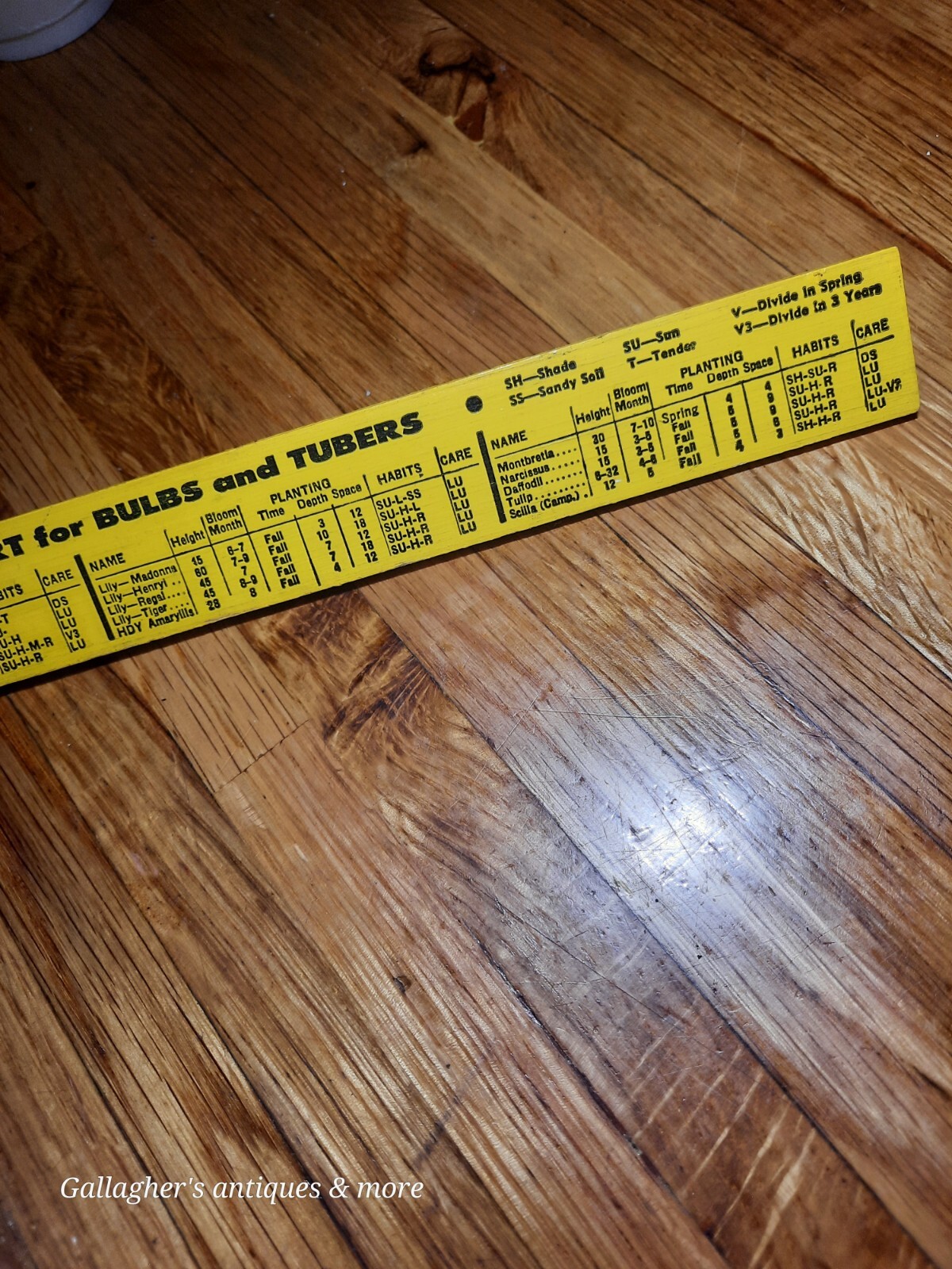 VINTAGE Rare Albemarle NC Stanley Hardware company ADVERTISING RULER Plant