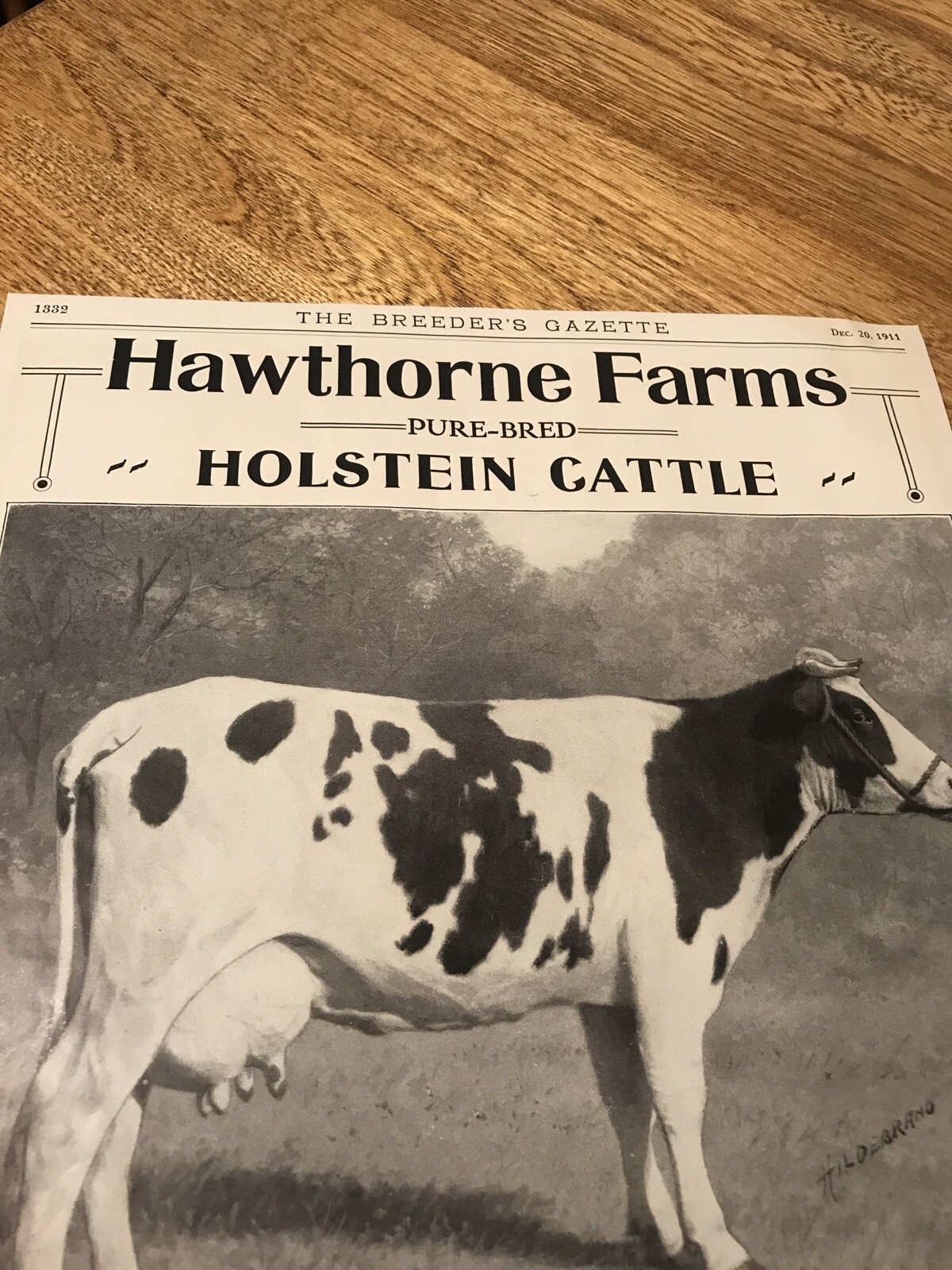 1911 Hawthorne Farms Cattle Farm Advertising – Barrington – Illinois – Cow