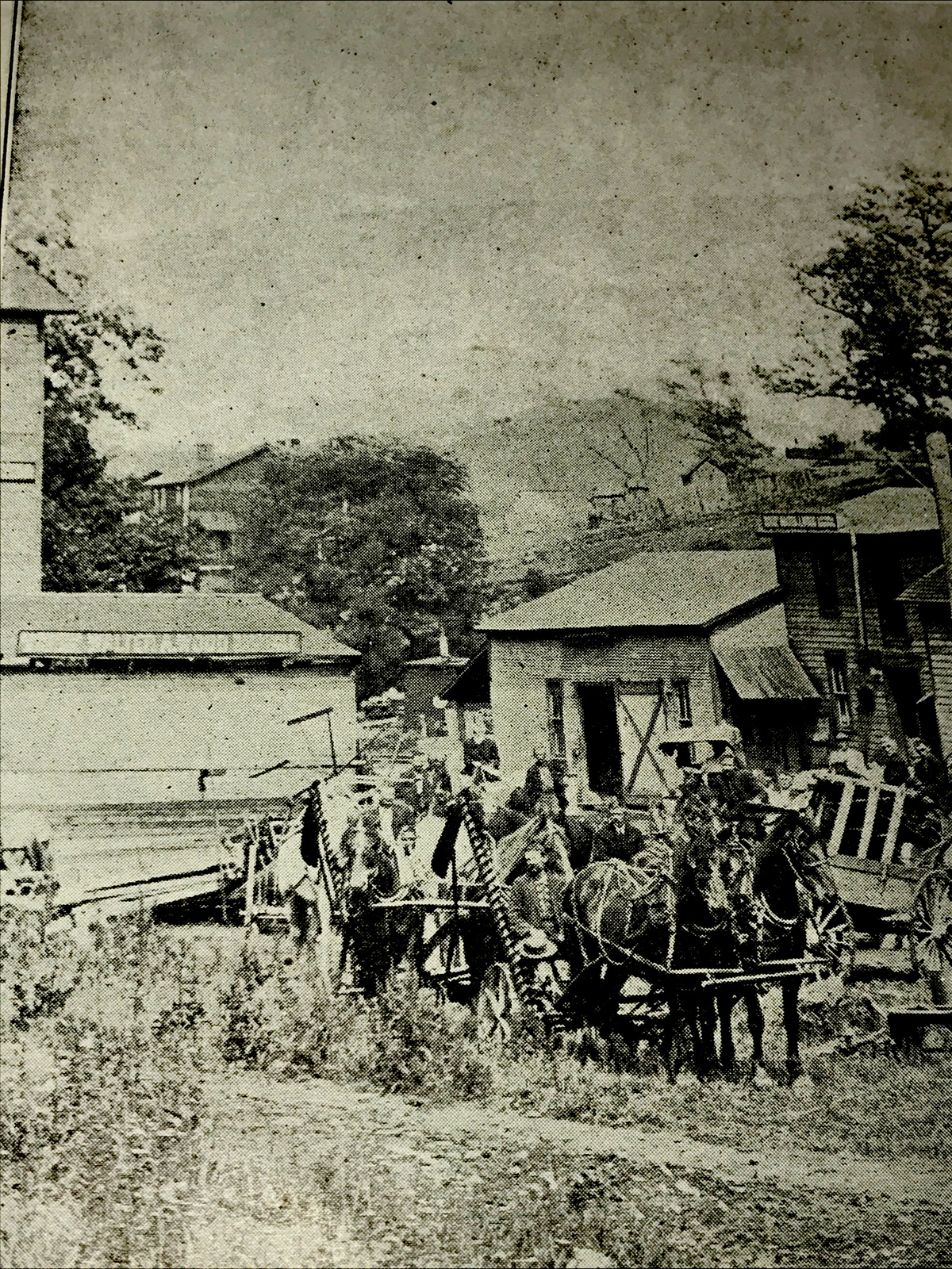 1907 Wood Harvester Farm Advertising – Photo & Article Imperial Pennsylvania