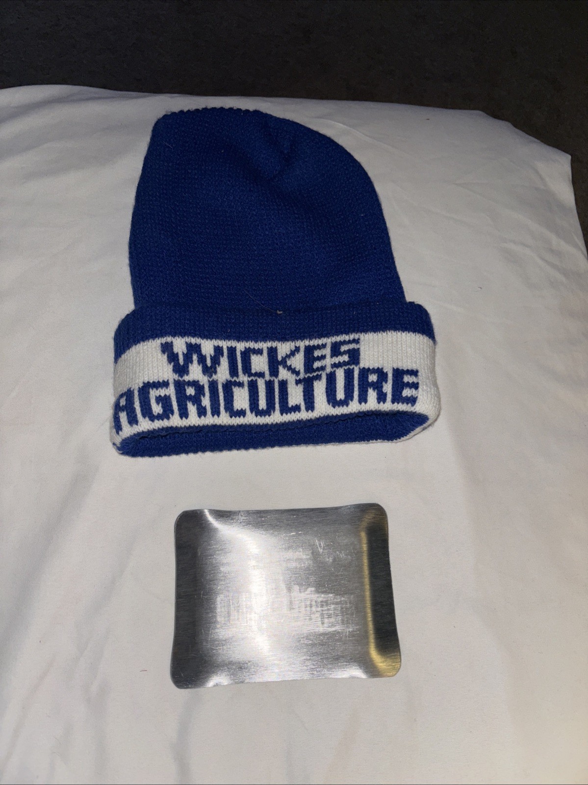 Vtg WICKES AGRICULTURE Advertising Blue/White Knit Stocking Cap & 5×4” Ash Tray