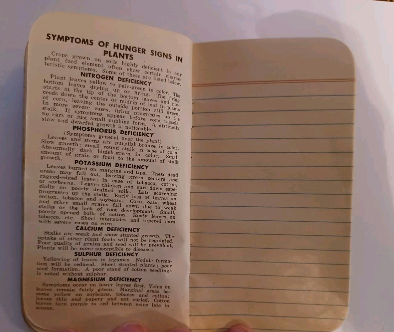 1949 Notepad Cotton States Fertilizer Blue Banner Macon Georgia