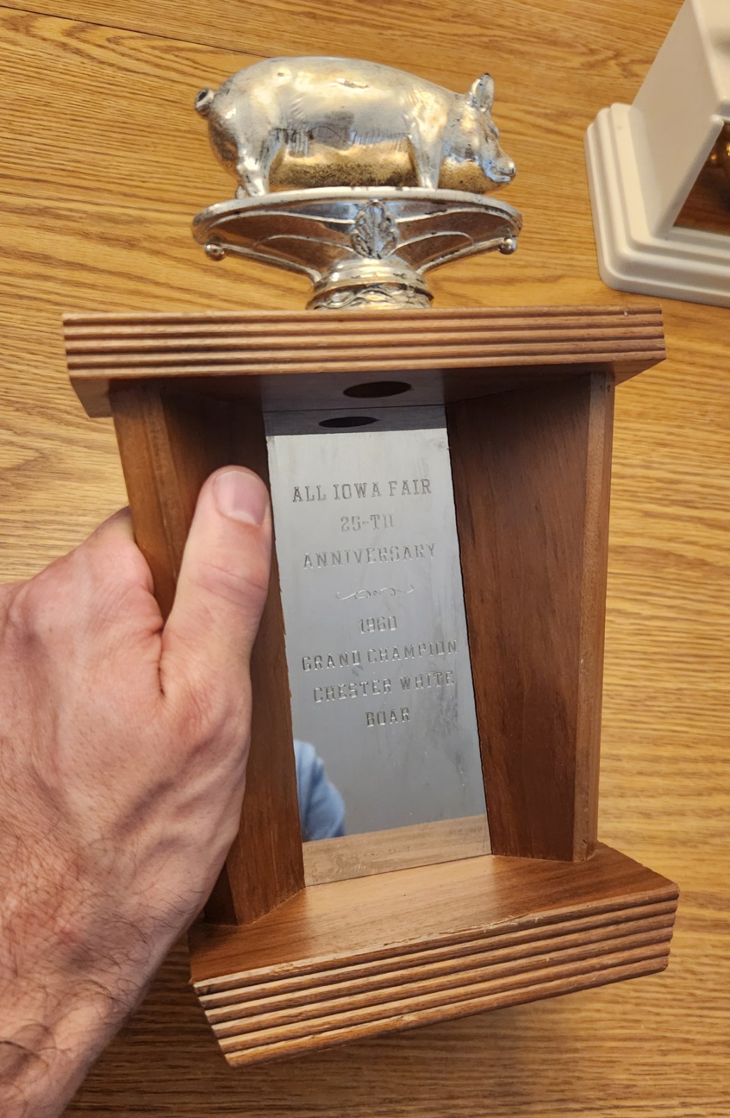 🐖1950s🔥RARE Pig Hog Trophy Champion Market Boar Sow CHESTER WHITES Iowa Sign
