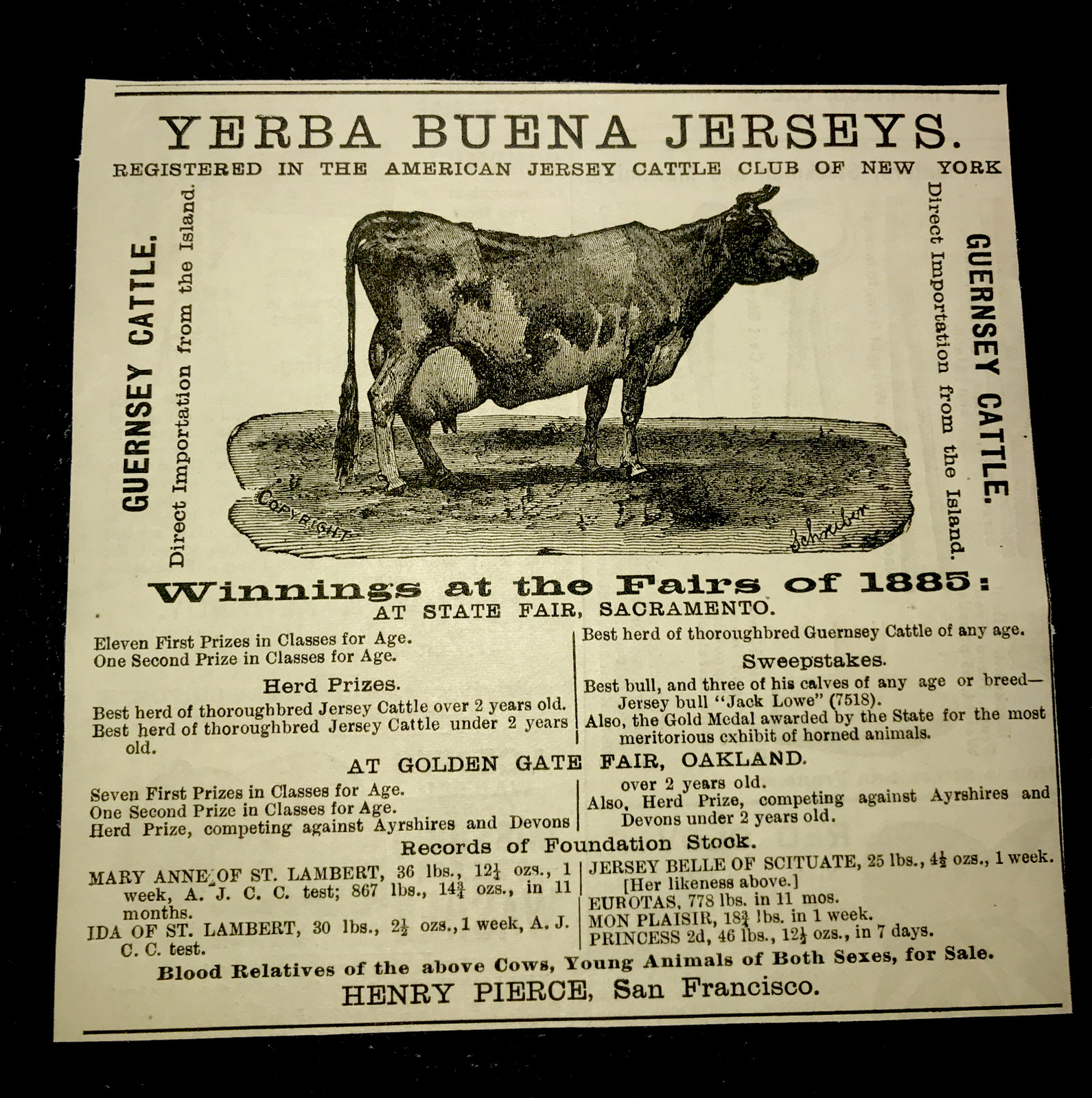 1886 Yerba Buena Jersey Cattle Cow Farm Advertising – San Francisco California