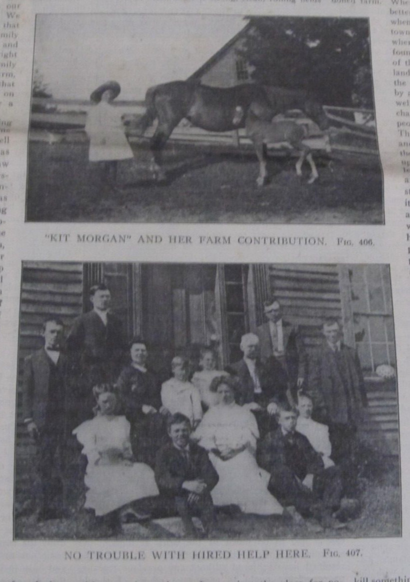 1908 Nov 14 THE RURAL NEW-YORKER NEWSPAPER Agriculture Magazine Farm Farming
