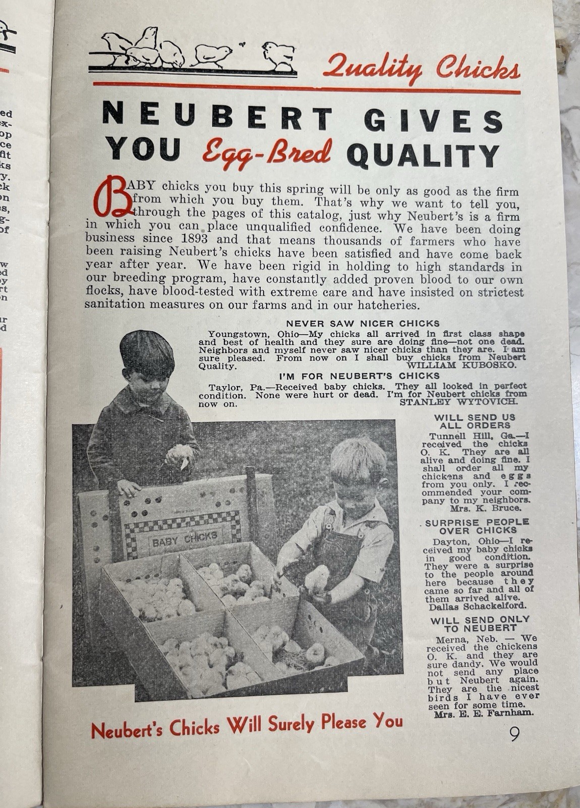 Vintage 1945 Neubert&rsquo;s Neubert Poultry + Supply Catalog Mankato MN