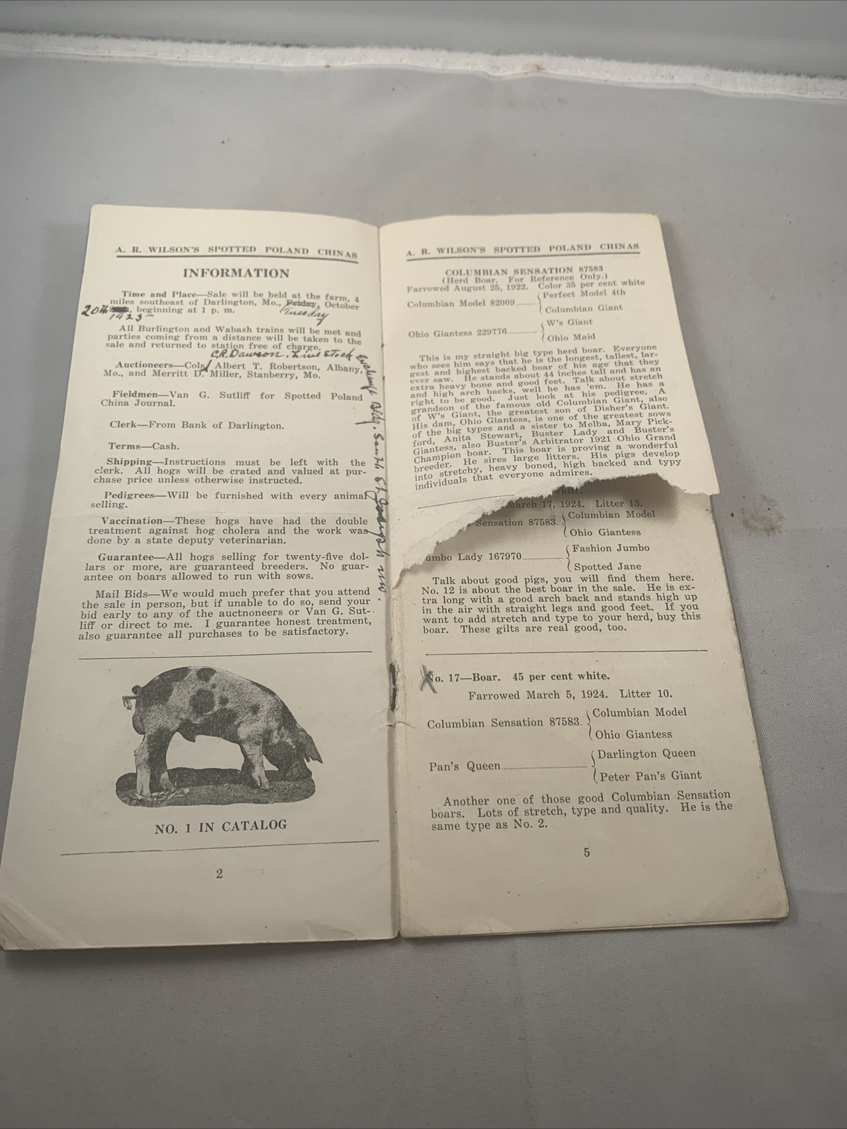 1924 Hog Sale Brochure Wilson’s Prolific Poland China Pig Farm Darlington MO