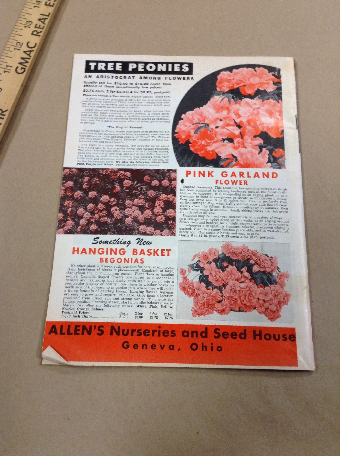 Allene nurseries and seed house co catalog INV-P1120