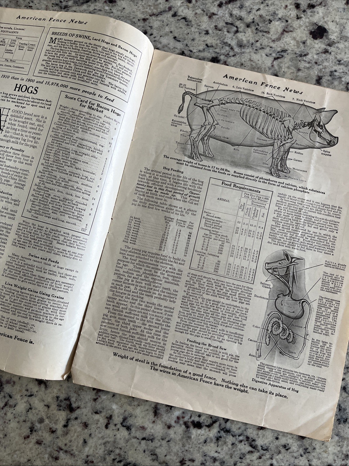 Antique 1915 American Farm Fence Cattle Trade Magazine Comet Shorthorn Bull