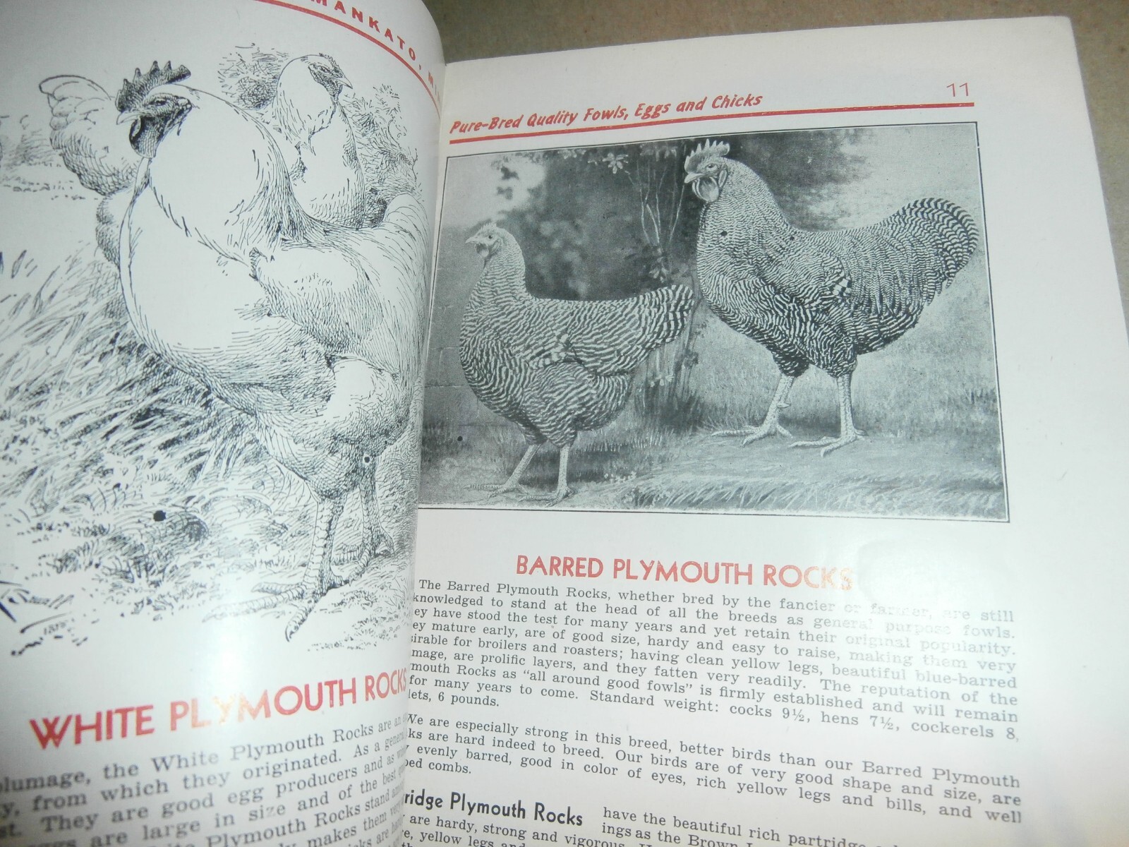 Vintage 1945 Neubert&rsquo;s Neubert Poultry + Supply Catalog Mankato MN