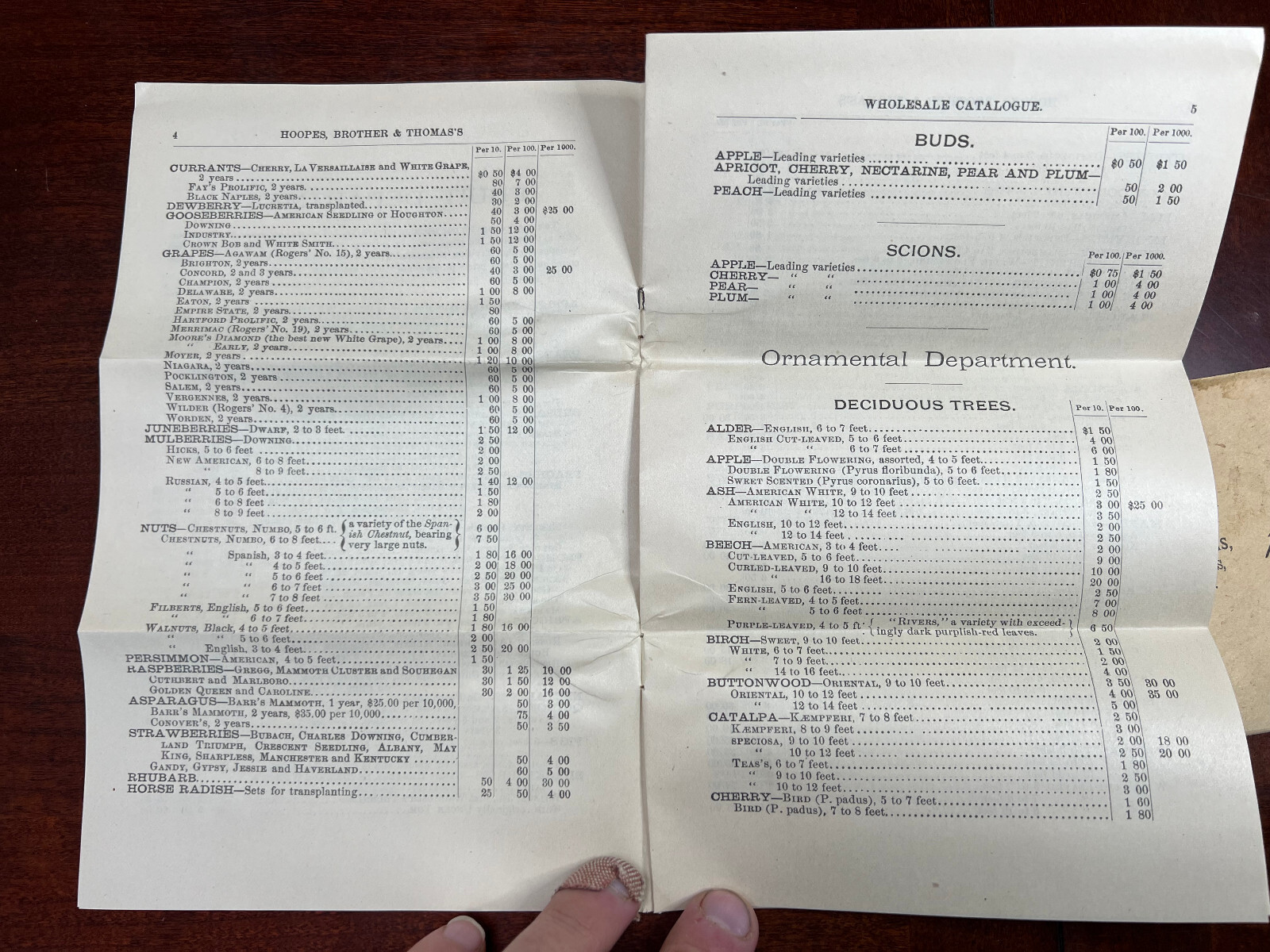 Hoopes Bro & Thomas Maple Ave Nurseries West Chester, Pa Catalogue & Envelope