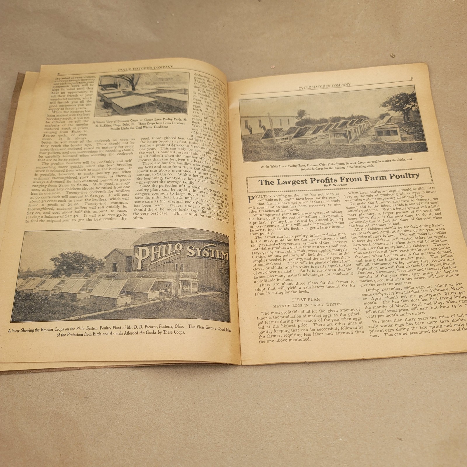 1912 Poultry Profits Philo System Cycle Hatcher Company Chicken