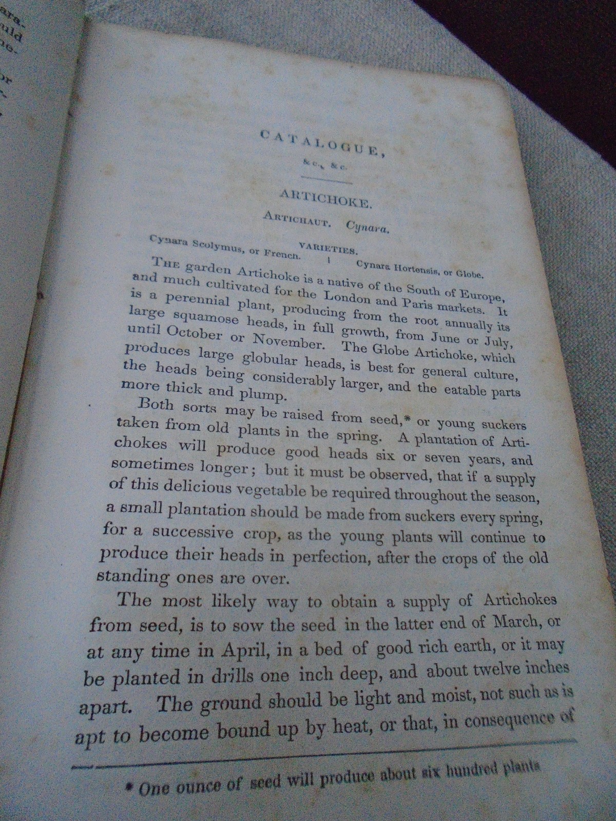 Rare 1857 Seed Catalogue Kitchen Gardner&rsquo;s Instructor Thomas Bridgeman New Ed