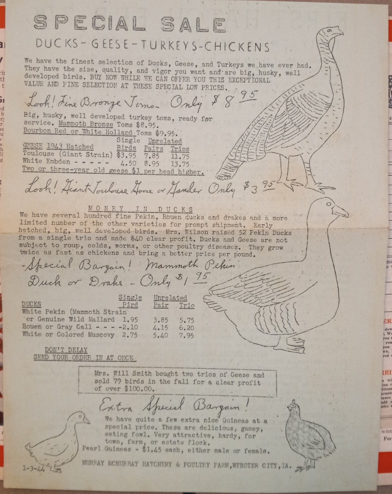 Vtg 1944 Murray McMurray Hatchery Webster City Ia Catalog Order Form Price List