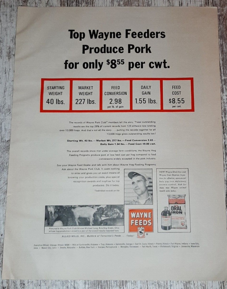 1966 Wayne Feeds Vintage Print Ad Pork Livestock Oral Iron Farm Health