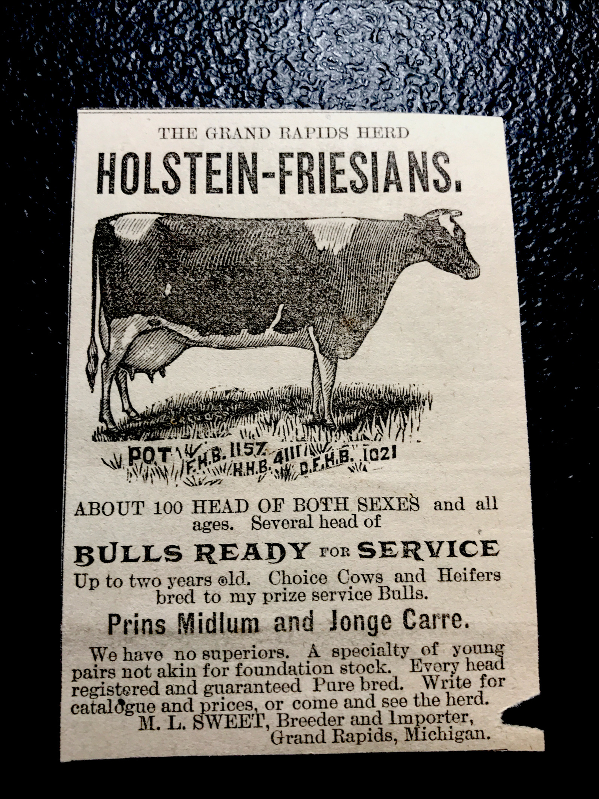 1886 Sweet Cattle Cow Farm Advertising – Grand Rapids – Michigan