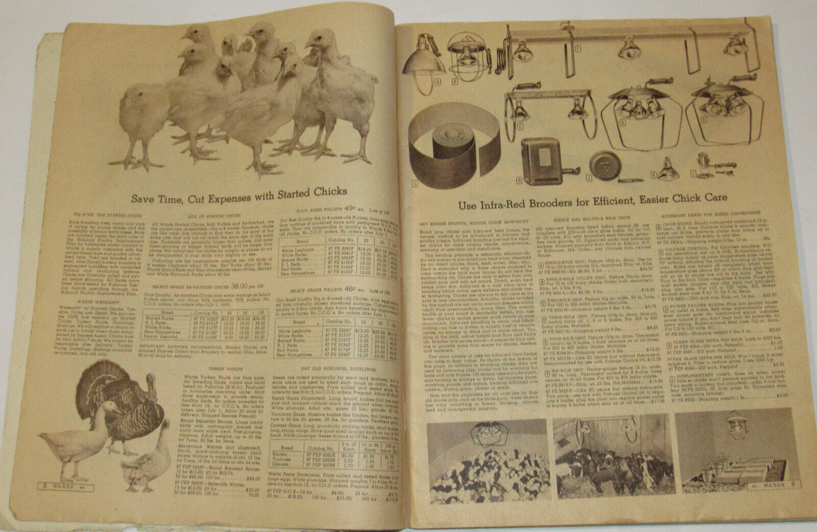 VTG 1953 MONTGOMERY WARD FARM CATALOG! HORSE DRAWN EQ/TOOLS/BEE KEEPING/CHICKENS
