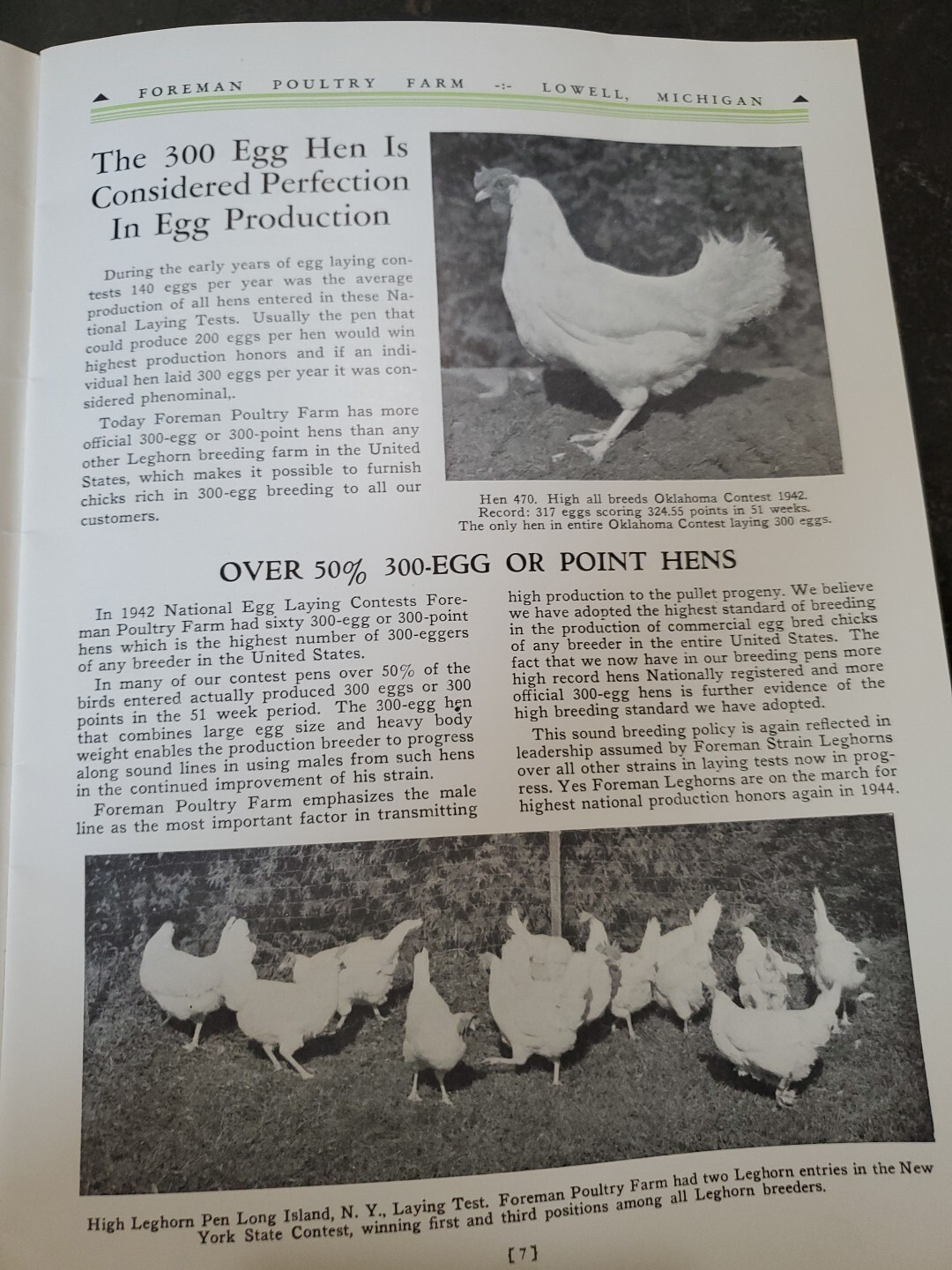 1944 Foreman Poultry Farm Catalog Chickens Beautiful & RARE 🐔