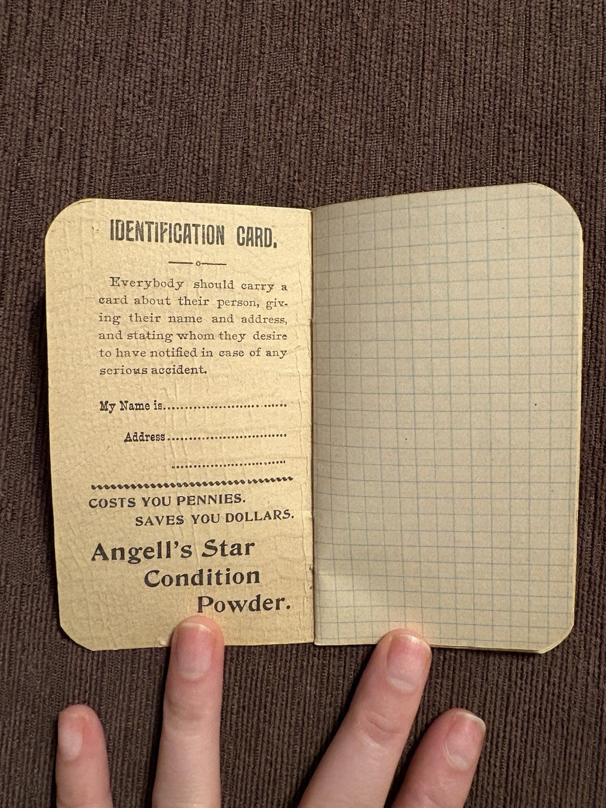 Antique Angell’s Star Condition Powder Knoxville PA Advertising Memo Notebook