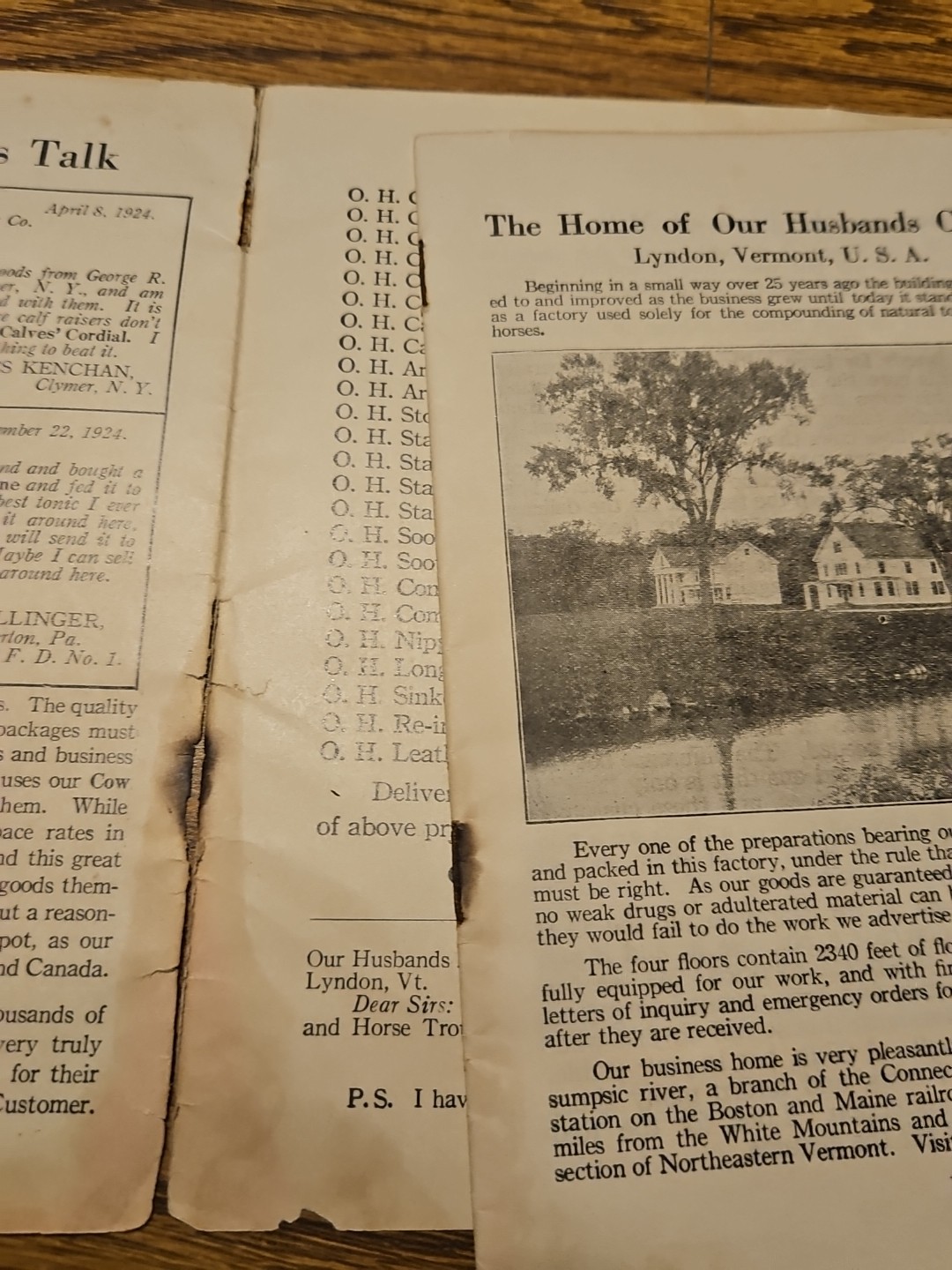 Vintage 1924 Our Husbands Company Cow Book, Lyndon, Vermont Cowtone Cows Calves