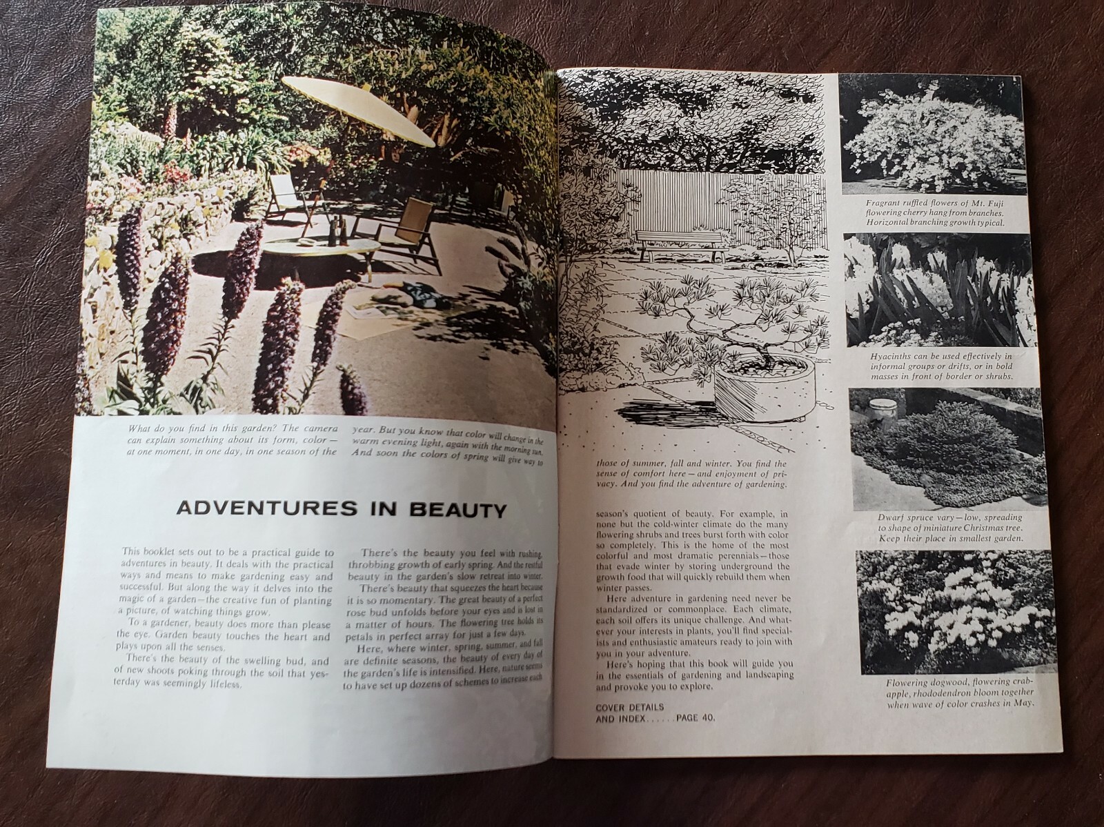 Vintage 1960&rsquo;s &1970&rsquo;s Chevron Ortho Lawn & Garden Booklets/Brochures Ads
