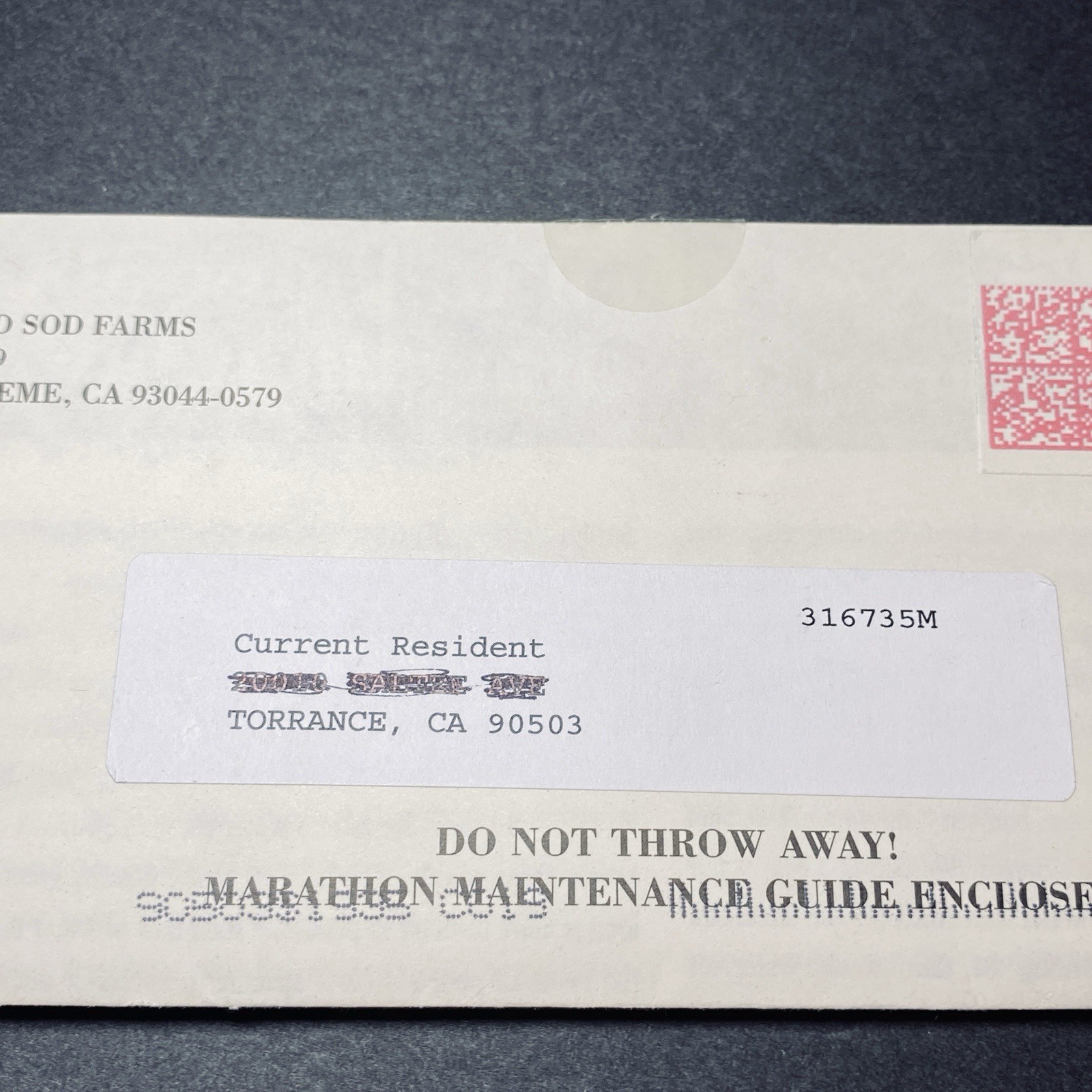 Ad Print Flyer 2011 Grass Yard Lawn Care Sod Farms Ephemera Collectors Paper