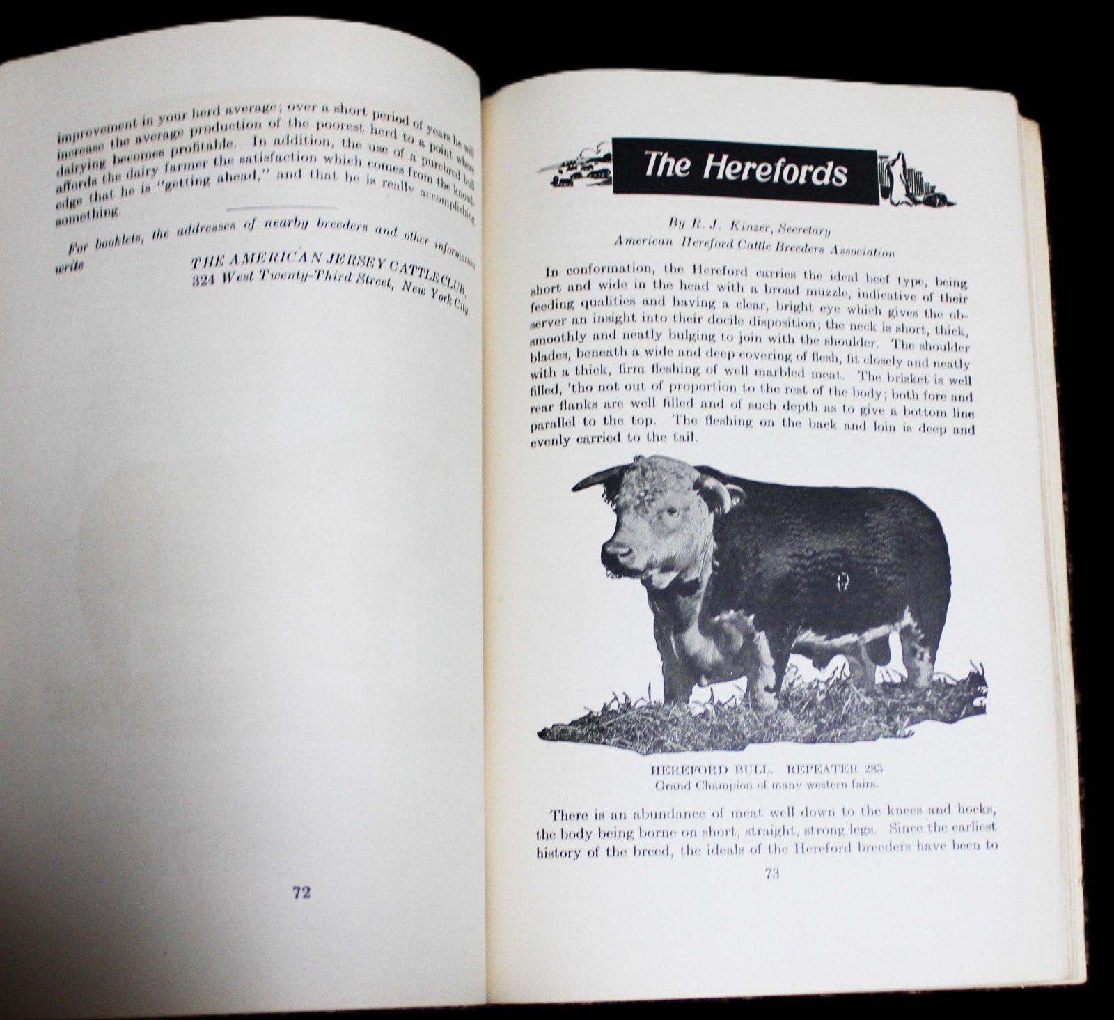 LIVESTOCK IN THE EAST BOOKLET BY THE PARK & POLLARD COMPANY BUFFALO NY 1924
