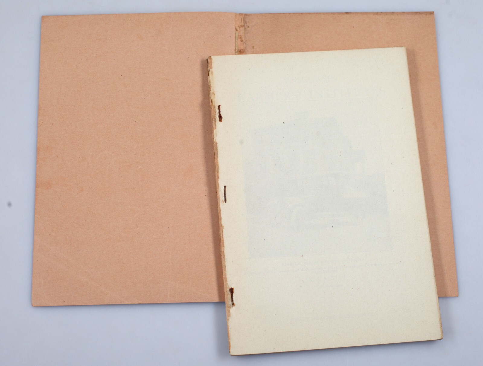 Vintage 1916 Wisconsin Farmer&rsquo;s Institutes Bulletin Handbook of Agriculture