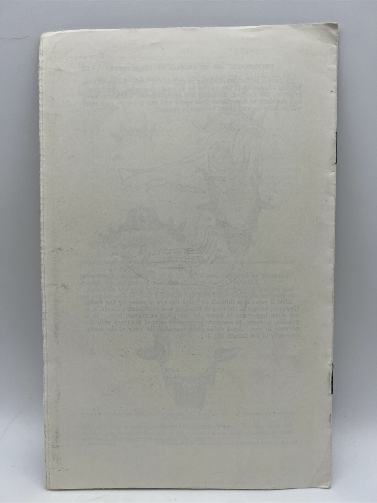 1934 USDA Farmers Bulletin No 1721 DETERMINING THE AGE OF FARM ANIMALS BY TEETH