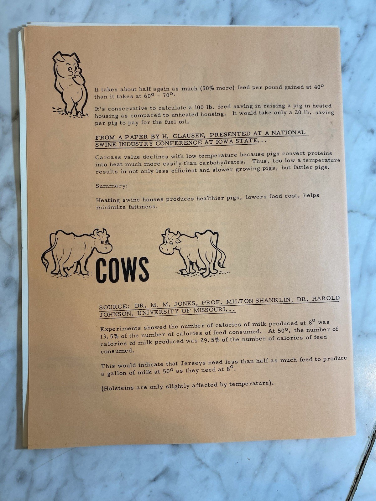 Vintage Original Champ-Heaters Advertisements, Brochures & Signs 1964-65