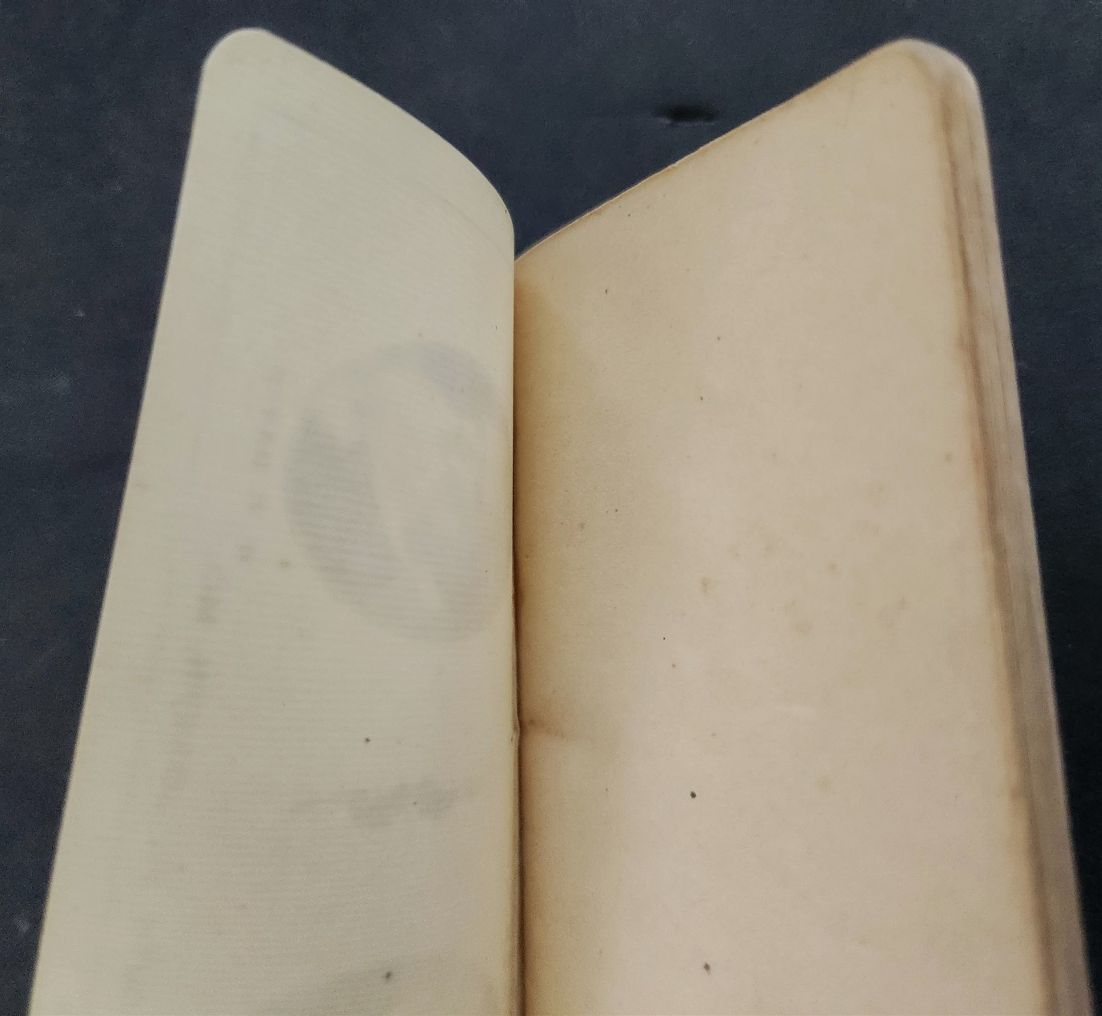 1930s vintage DAVIS & CO LIVESTOCK joseph mo CELLULOID NOTEBOOK