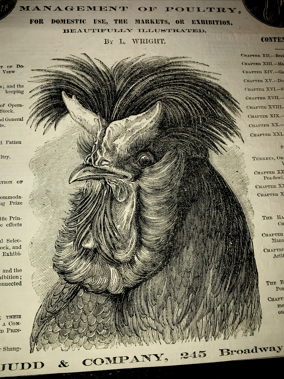 1870 Poultry Chicken Rooster Cock Hen Farm Engraving Advertising