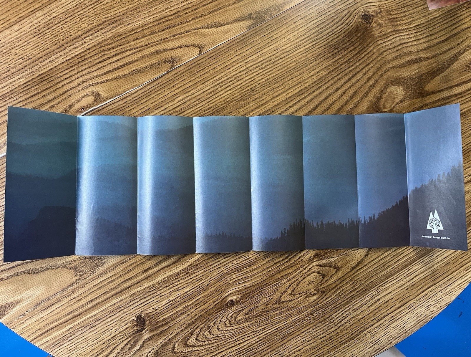 1970s American Forest Institute Vintage Brochure Forest Industry Management