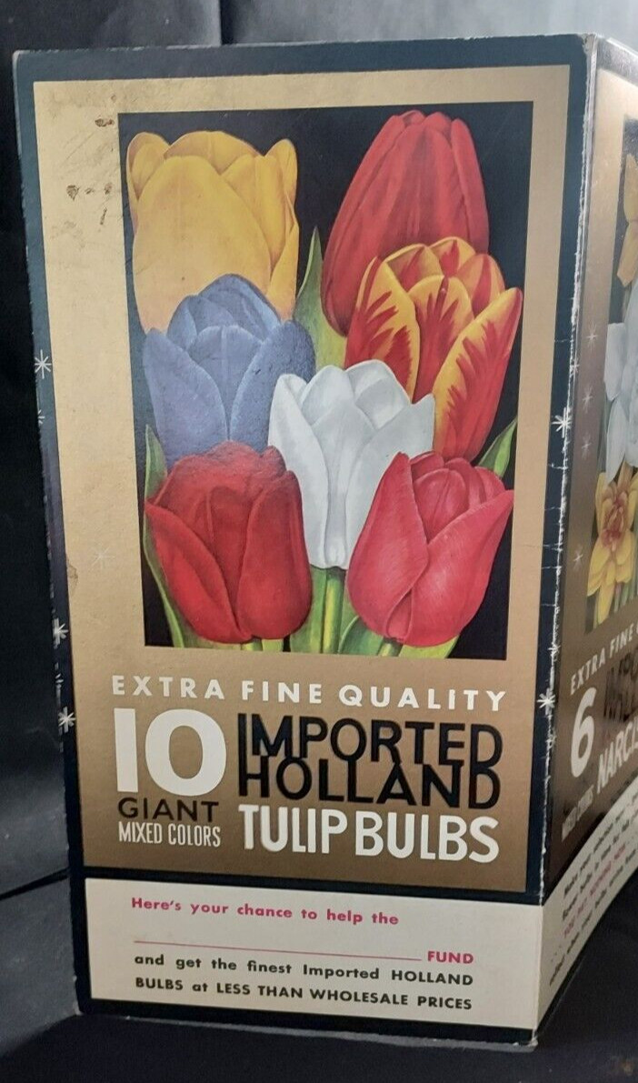 Old Advertising Promotional Folder Associated Bulb Growers Of Holland Tulips