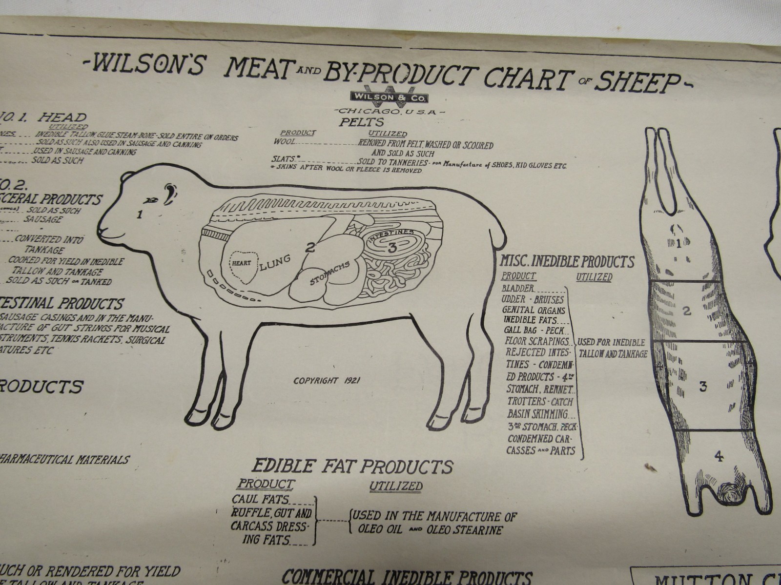 1921 WILSON SHEEP BYPRODUCT PORK CUTS CHICAGO BUTCHER PACKINGHOUSE POSTER VISUAL