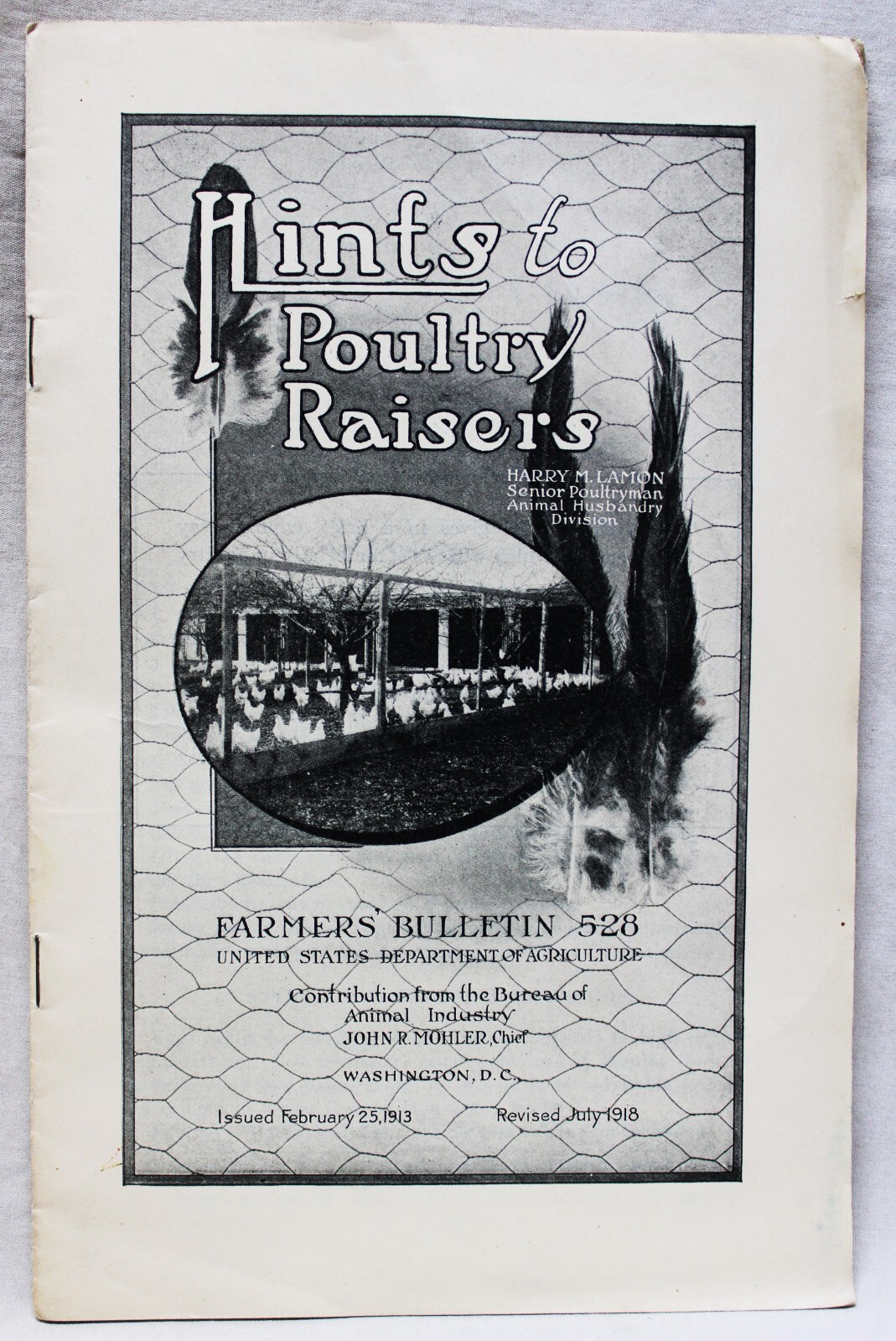 HINTS TO POULTRY RAISERS BULLETIN BROCHURE 1918 U.S. DEPARTMENT OF AGRICULTURE