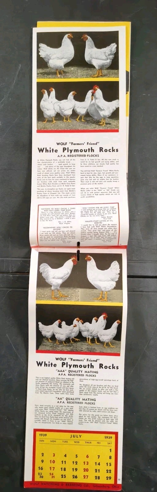 1939 Wolf Baby Chicks Catalog Calendar Sale Brochure Chicken Farming Advertising
