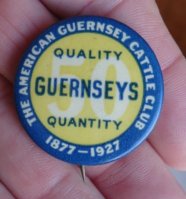 Antique Advertising Pinback Button American Guernsey Cattle Club 1927 / Farm