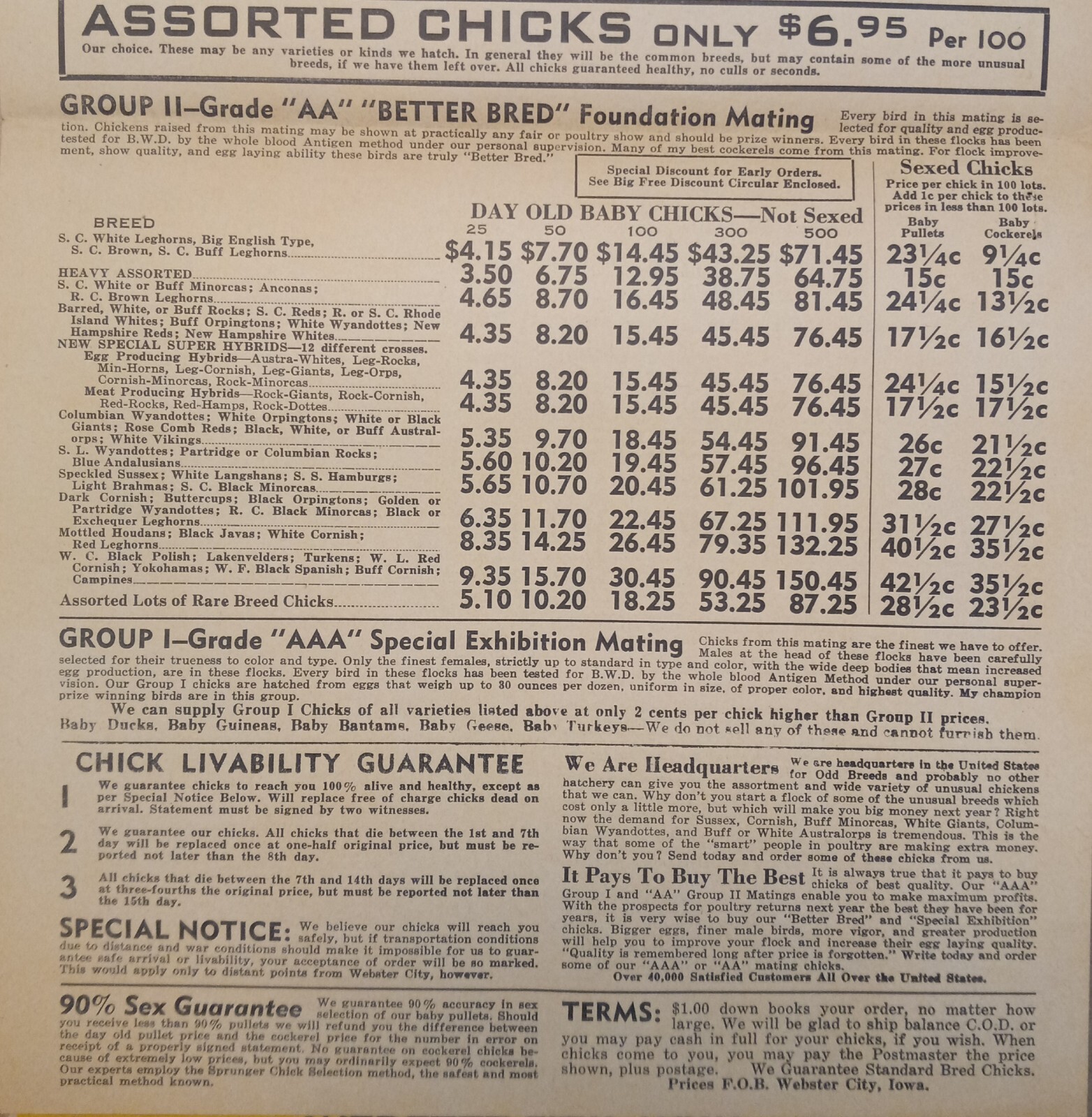 Vtg 1944 Murray McMurray Hatchery Webster City Ia Catalog Order Form Price List