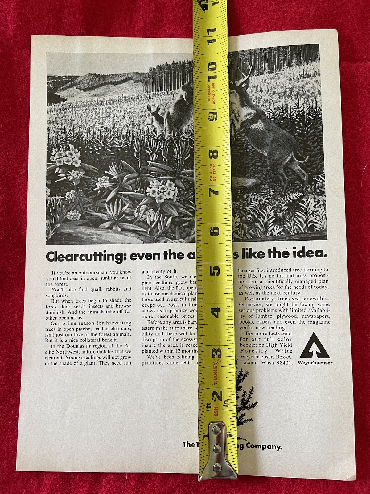 Vintage 1972 Weyerhaeuser Tree Growing Company Print Ad Clearcutting