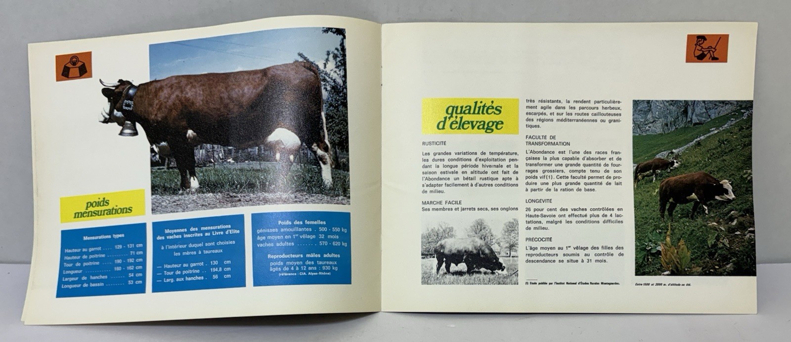 Vintage 1960s Abondance Cattle Booklet Brochure – French Dairy Breed