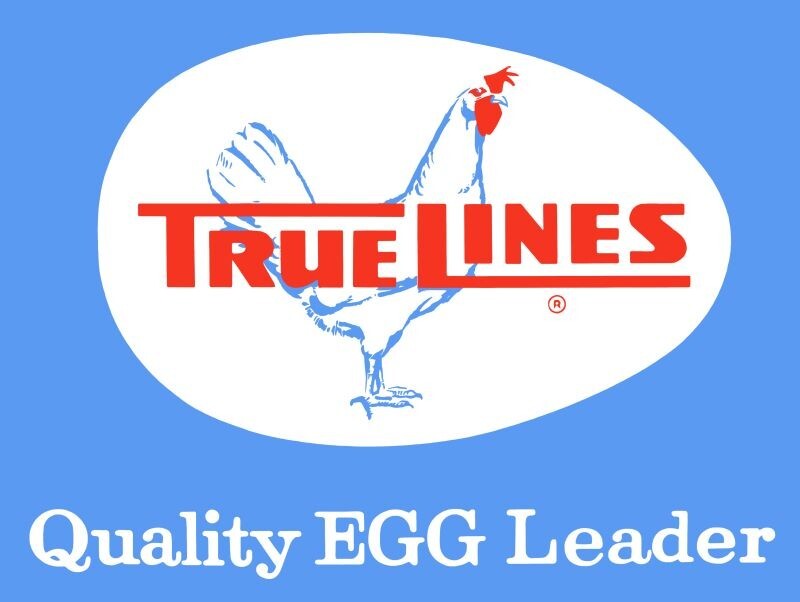True Lines, The Quality Egg Leader NEW Sign 24&Prime;x30&Prime; USA STEEL XL Size 7 lbs