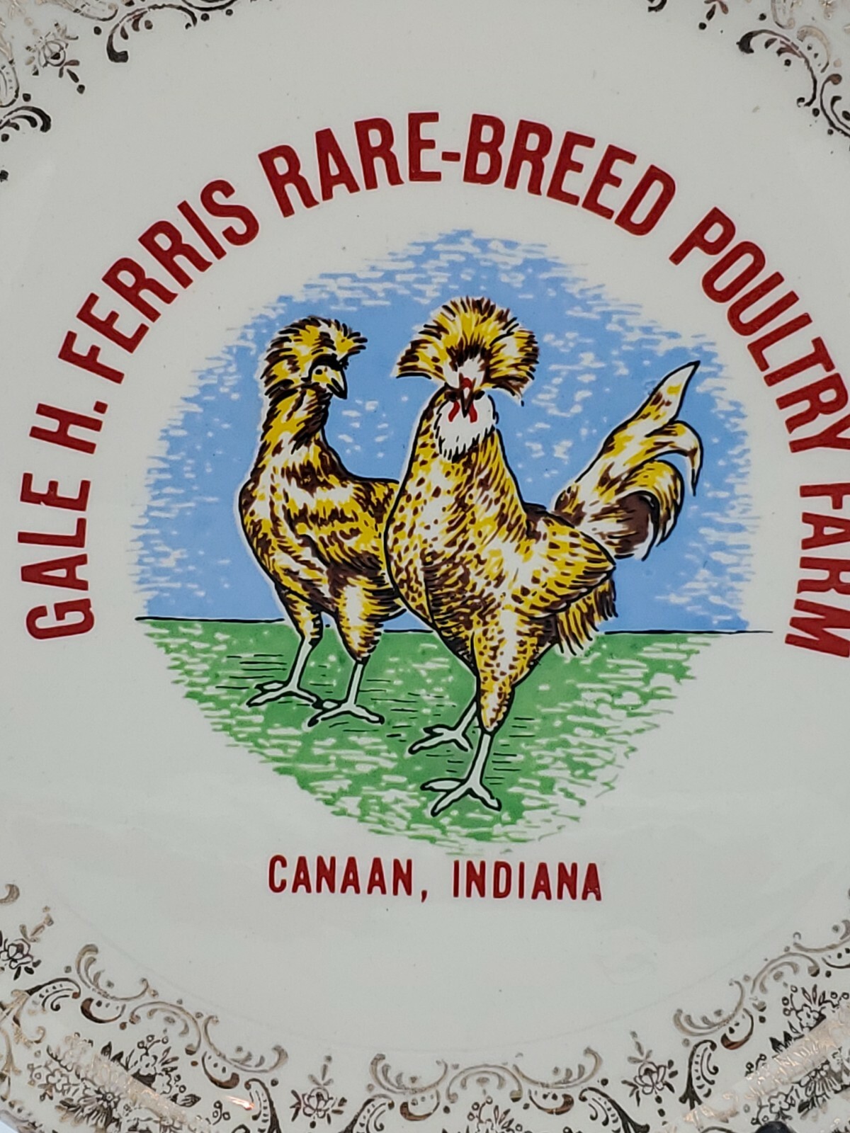 Vintage Gale H. Ferris Rare Breed Poultry Farm Canaan, Indiana Ornate Plate